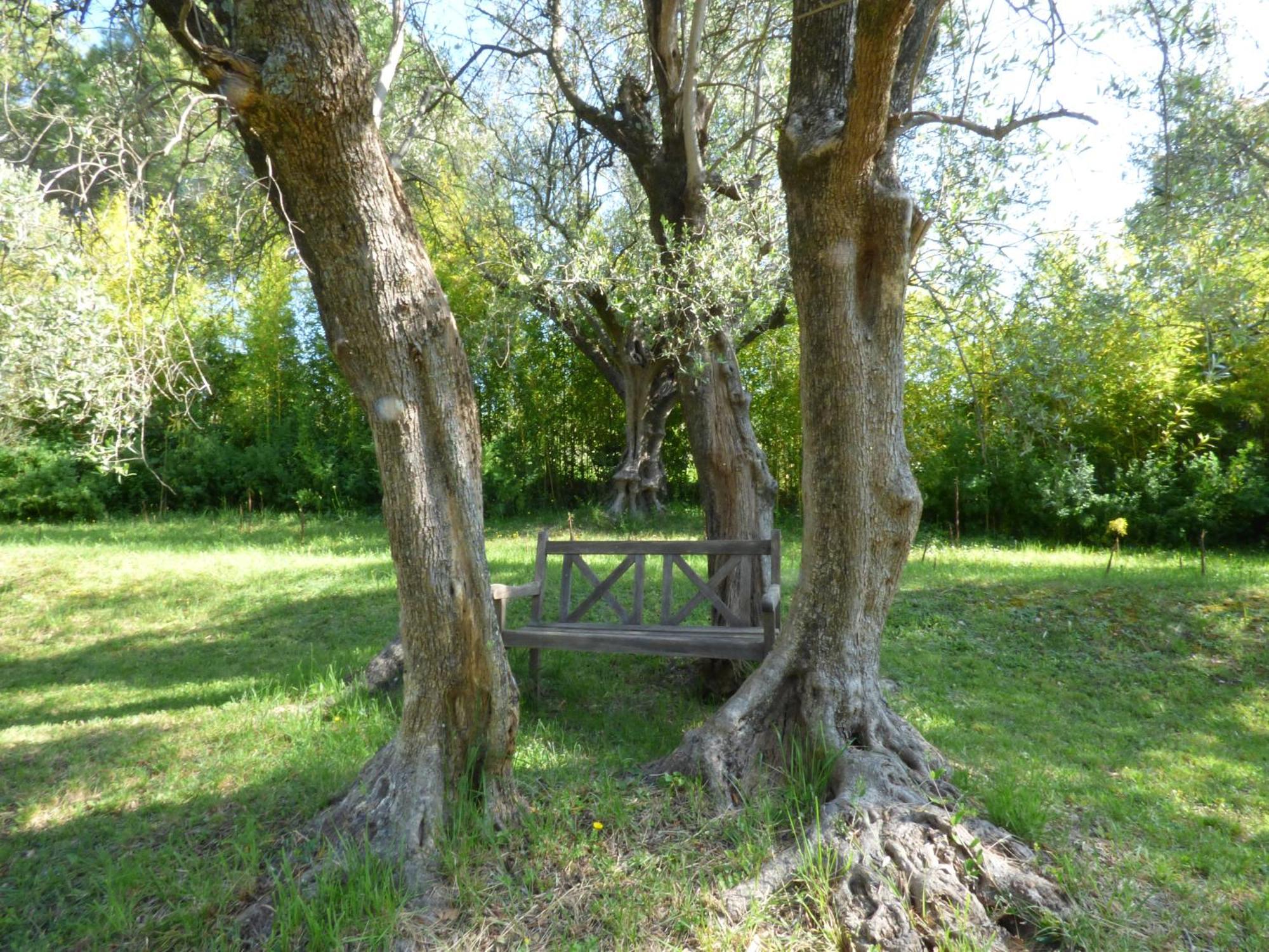 Apartment Cezanne With Heated Pool And Private Garden Chateauneuf-Grasse Exterior photo