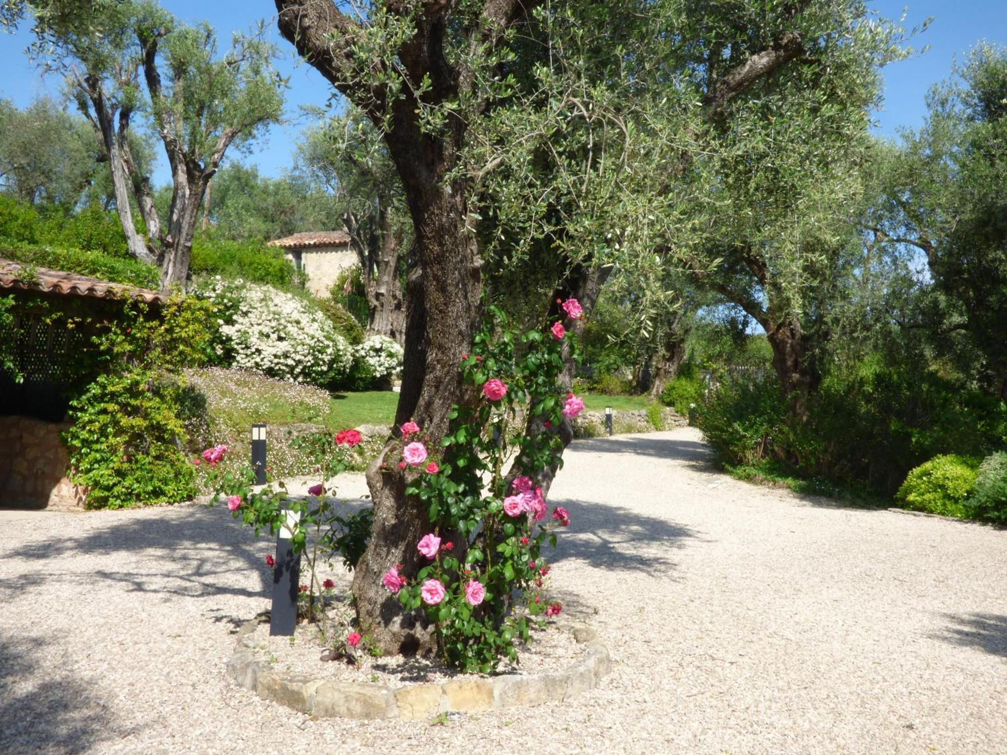 Apartment Cezanne With Heated Pool And Private Garden Chateauneuf-Grasse Exterior photo