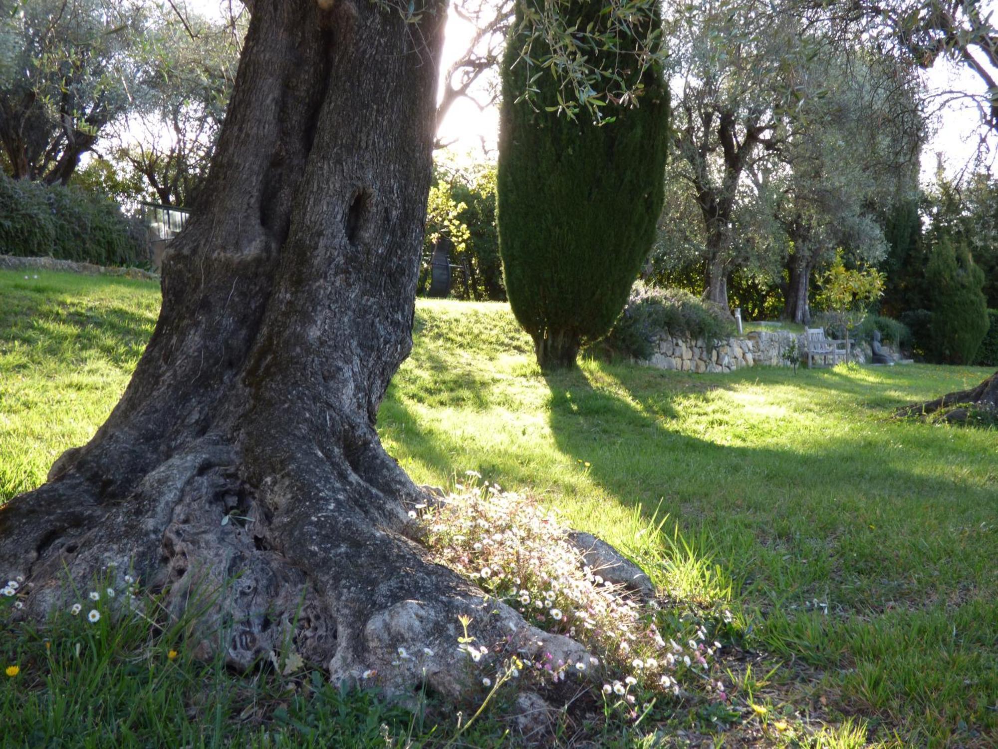 Apartment Cezanne With Heated Pool And Private Garden Chateauneuf-Grasse Exterior photo